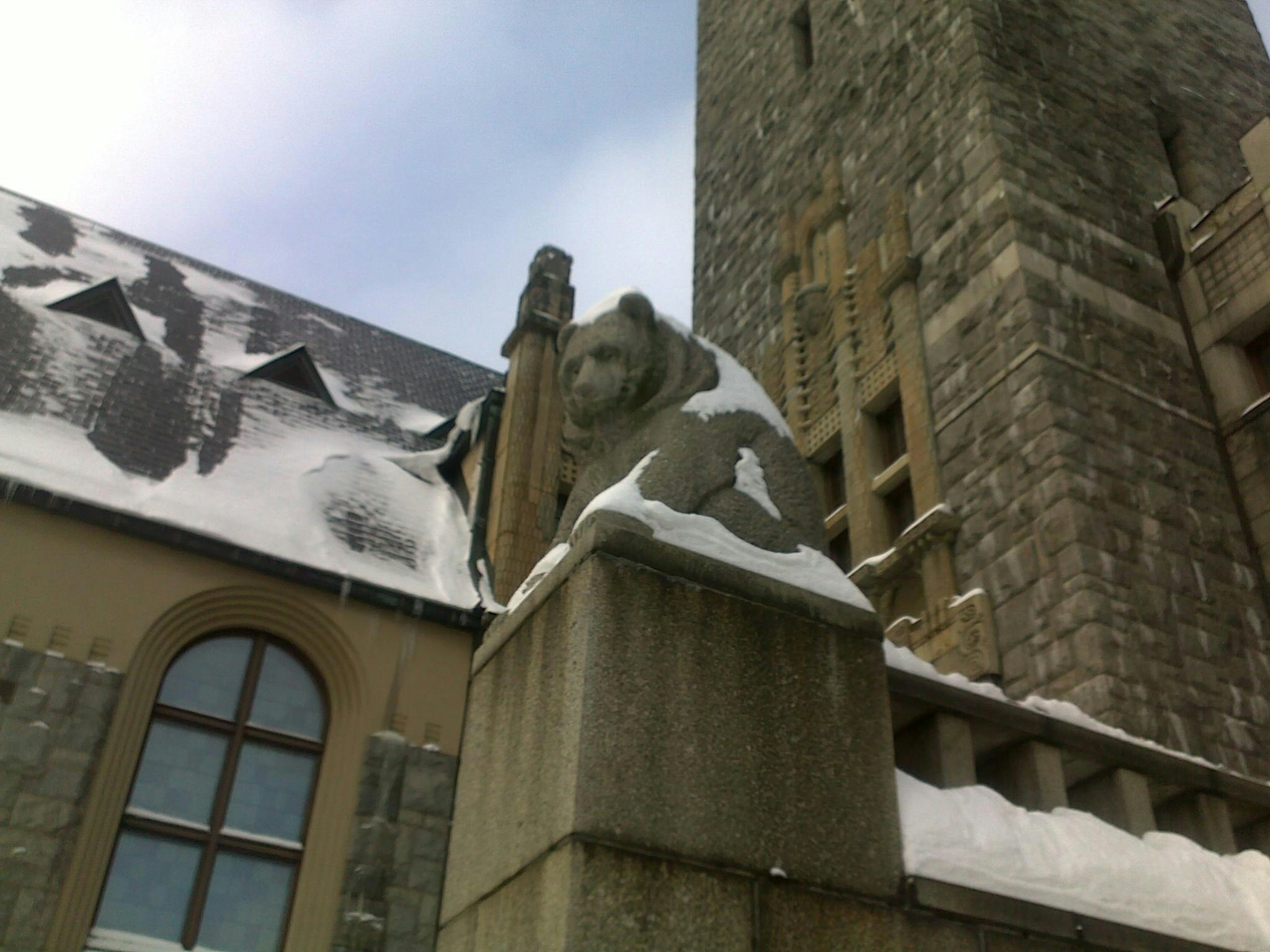 Bear If not polar then really quite chilly bear, National Museum, Helsinki