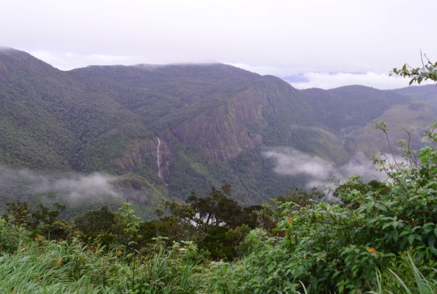 Adam's peak