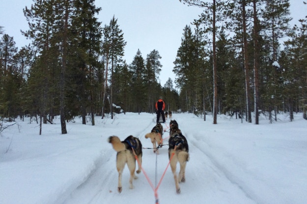 sledding