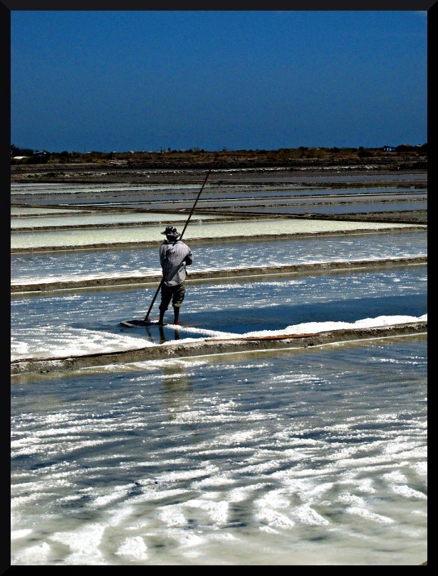 Salt Fields - g e c k t r e k