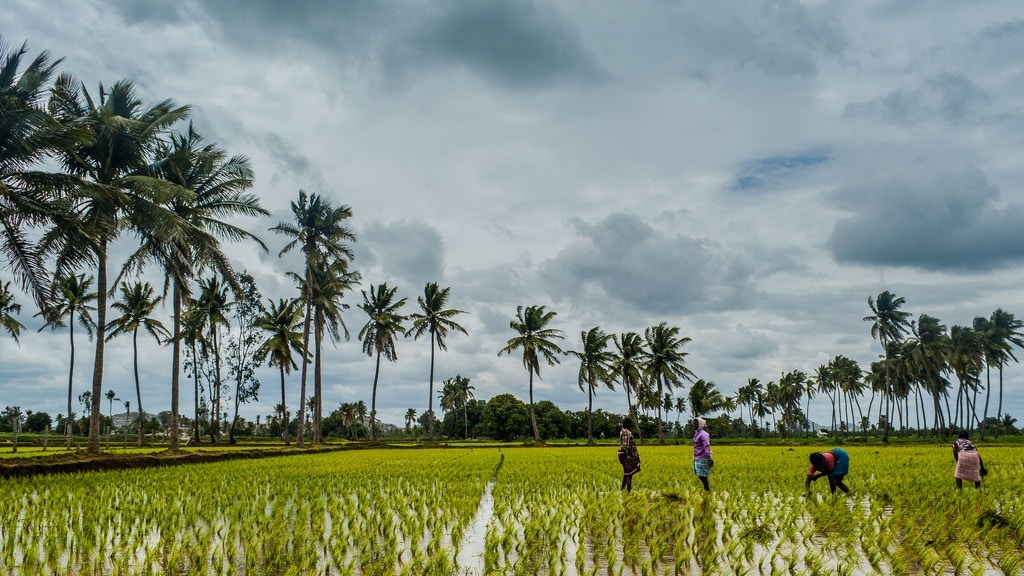 Farming. - akhil.raj1306