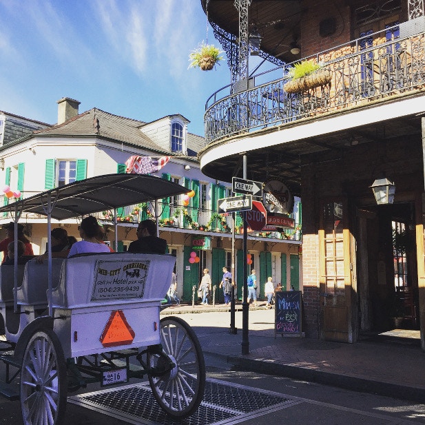 nola 3
