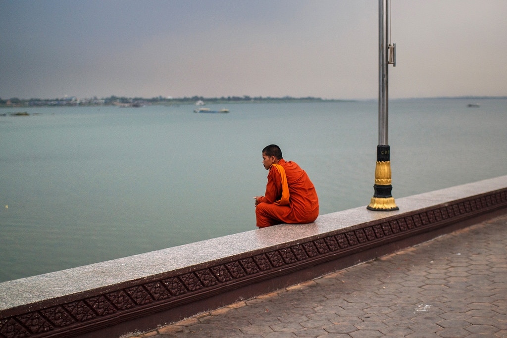 Contemplation - alfieianni