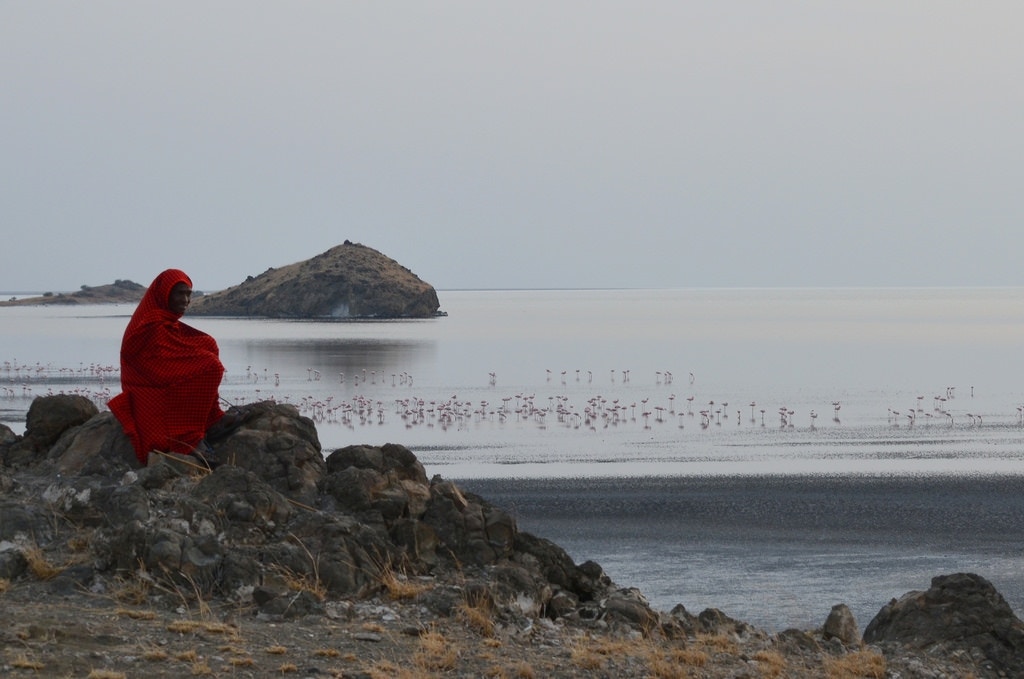 Dreams of a Maasai Guide - soartzyy