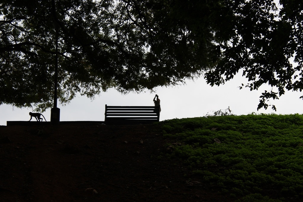Environment - Venkatesh CC