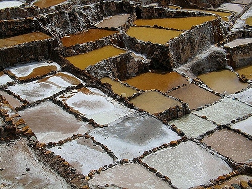 Salinas - g e c k t r e k