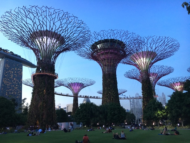 Supertree Grove and OSBC Skyway2
