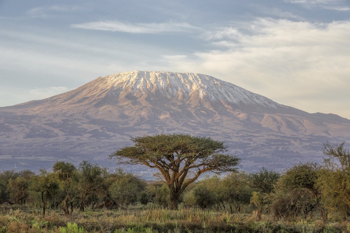 Mt Kilimanjaro and Acacia from Amboseli in Kenya.