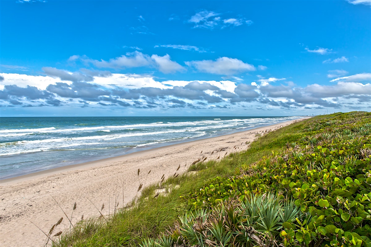 Canaveral National Seashore travel | Florida, USA - Lonely Planet