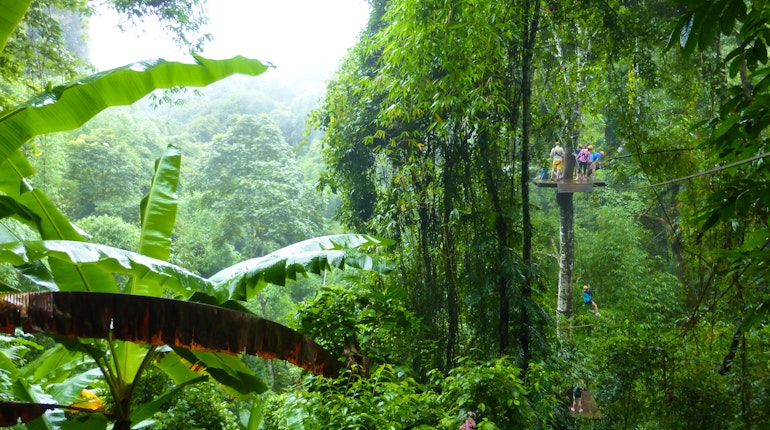 Flight of the Gibbon in Chiang Mai, Thailand - Lonely Planet