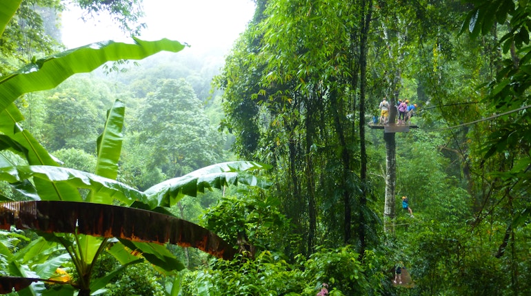 Flight of the Gibbon in Chiang Mai, Thailand - Lonely Planet