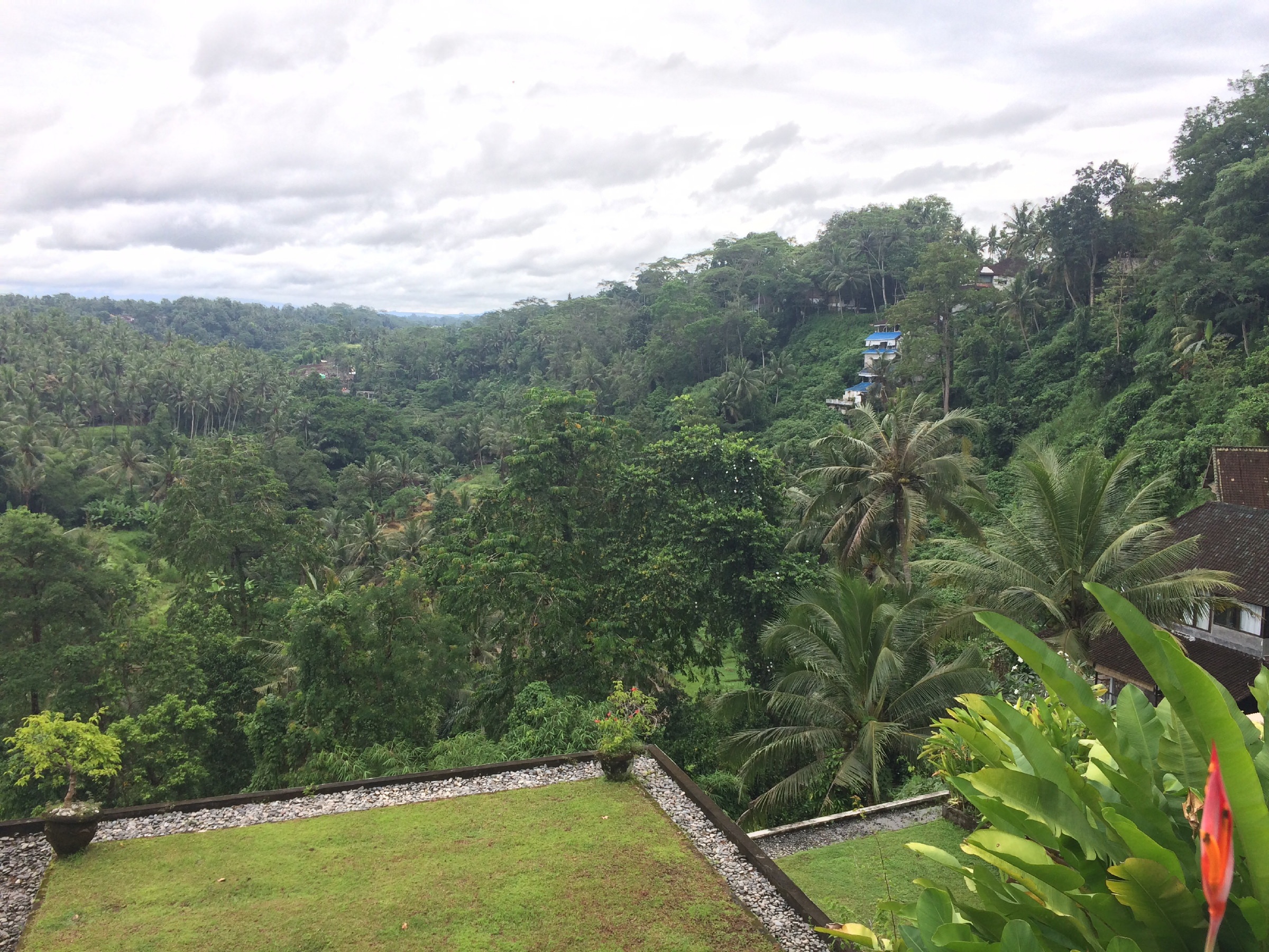 Sayan Terrace | Ubud, Indonesia Attractions - Lonely Planet