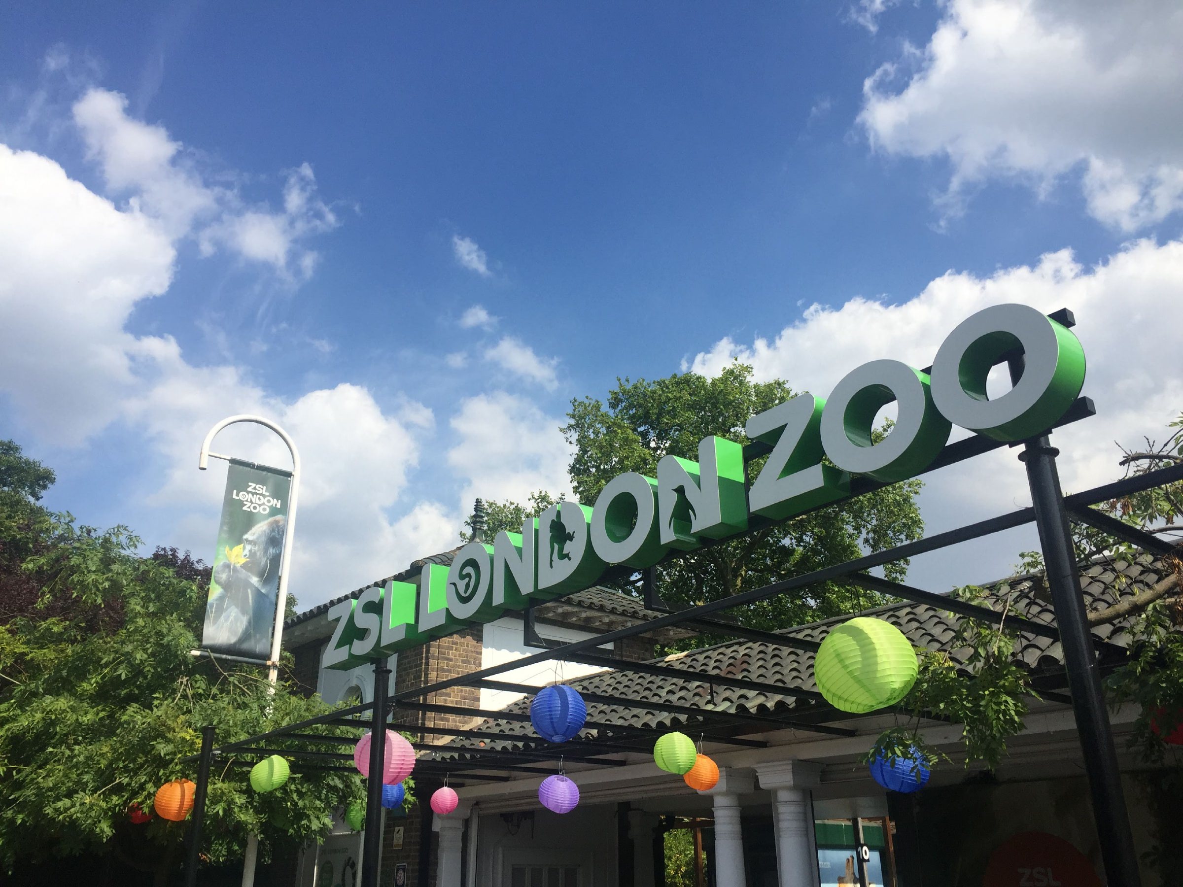 london zoo tours