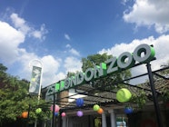 ZSL London Zoo London England Attractions Lonely Planet