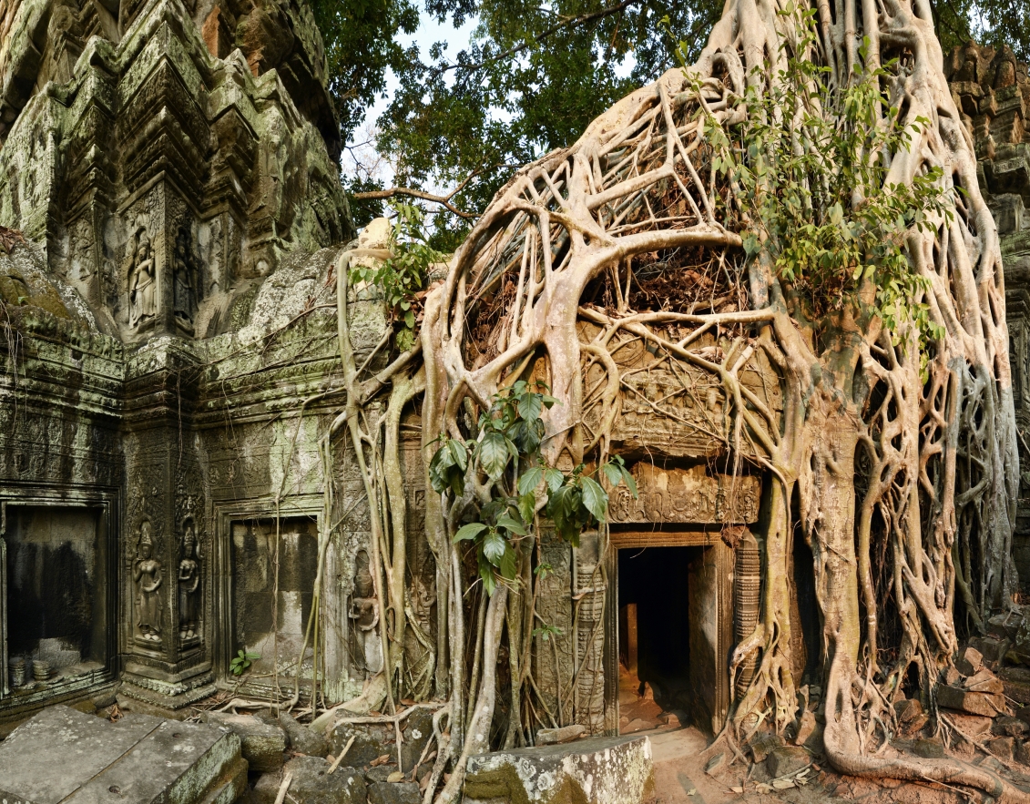 Ta Prohm Temples Of Angkor Cambodia Temples Of Angkor