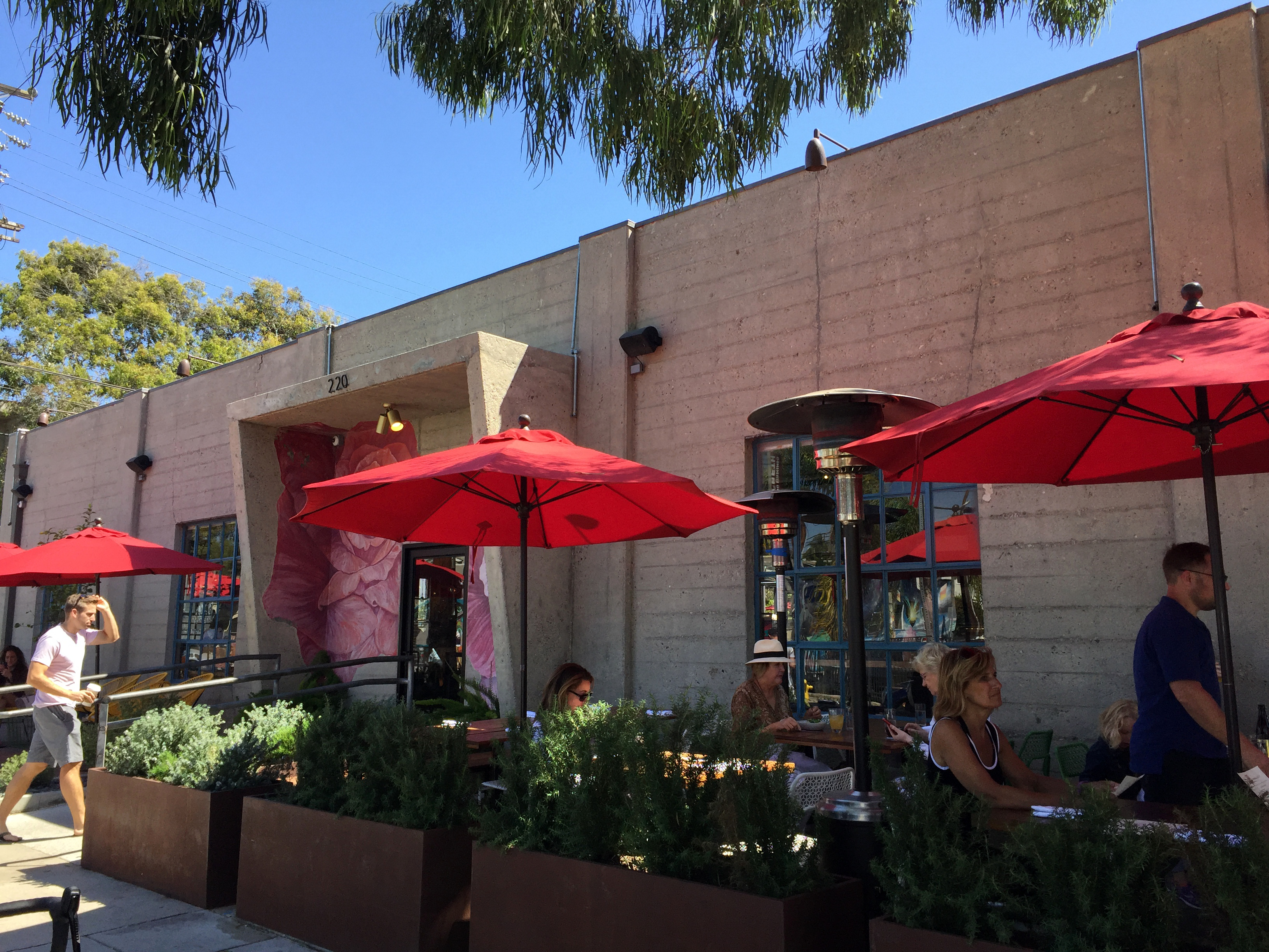 Rose Café Los Angeles, USA Restaurants Lonely