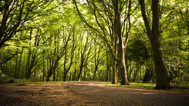 Assessment Analytics