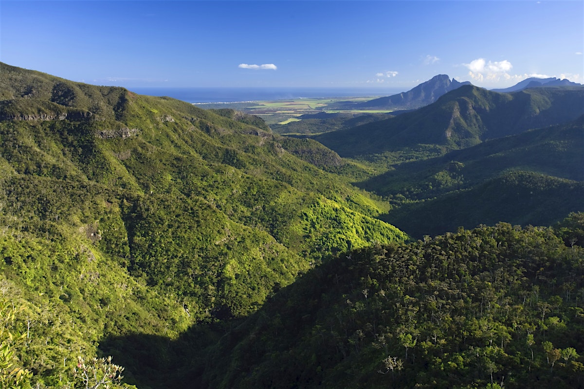 Black River Gorges National Park travel - Lonely Planet