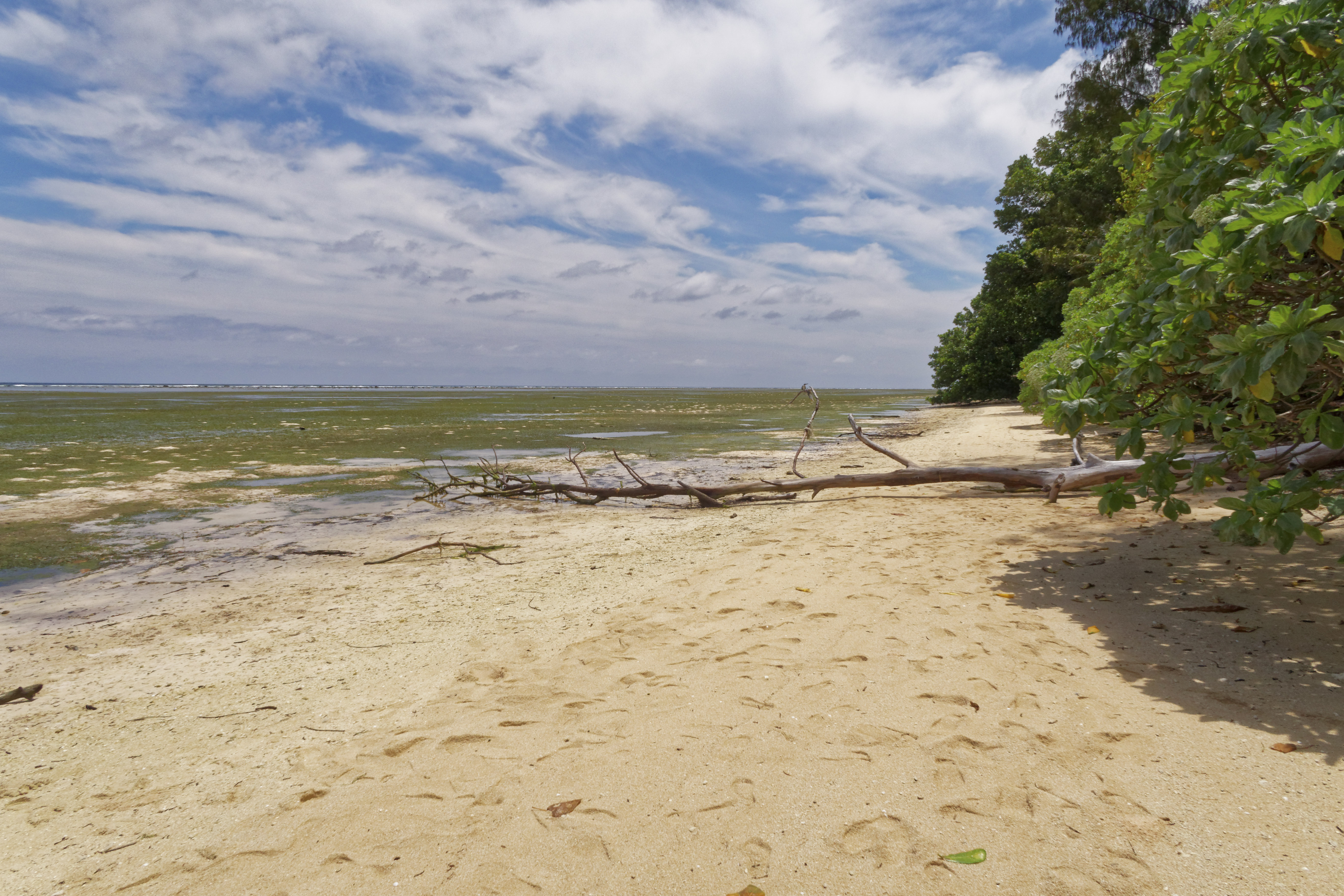 Orange Beach Peleliu, Palau Peleliu Lonely