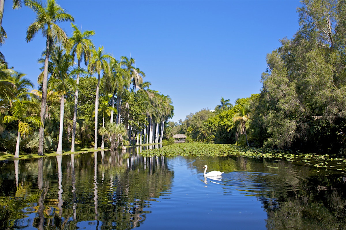 Health Insurance Florida >> Southeast Florida travel | Florida, USA - Lonely Planet Health Insurance Florida >> Southeast Florida travel | Florida, USA - Lonely Planet