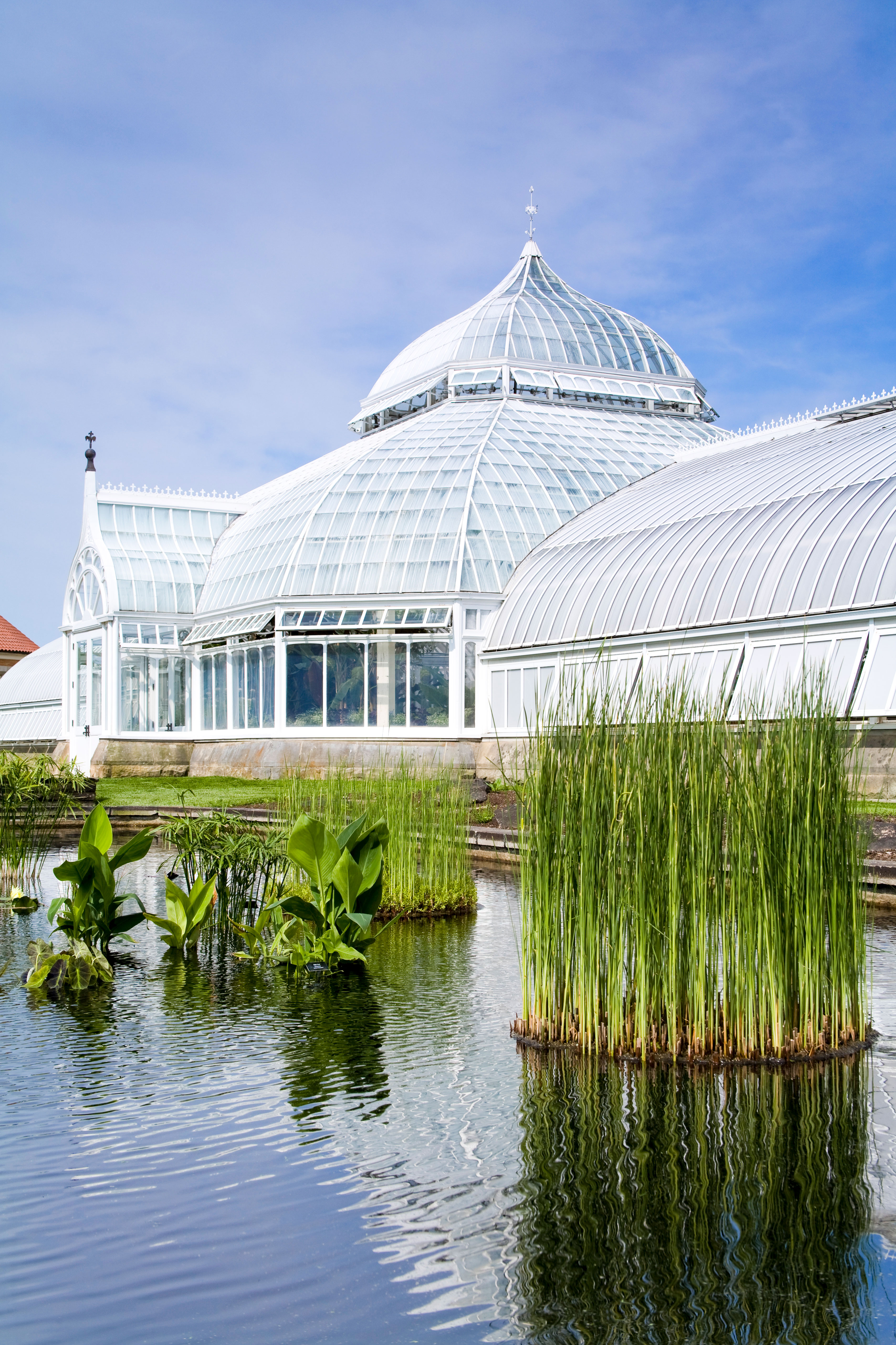 Phipps Conservatory | Pittsburgh, USA Attractions - Lonely Planet