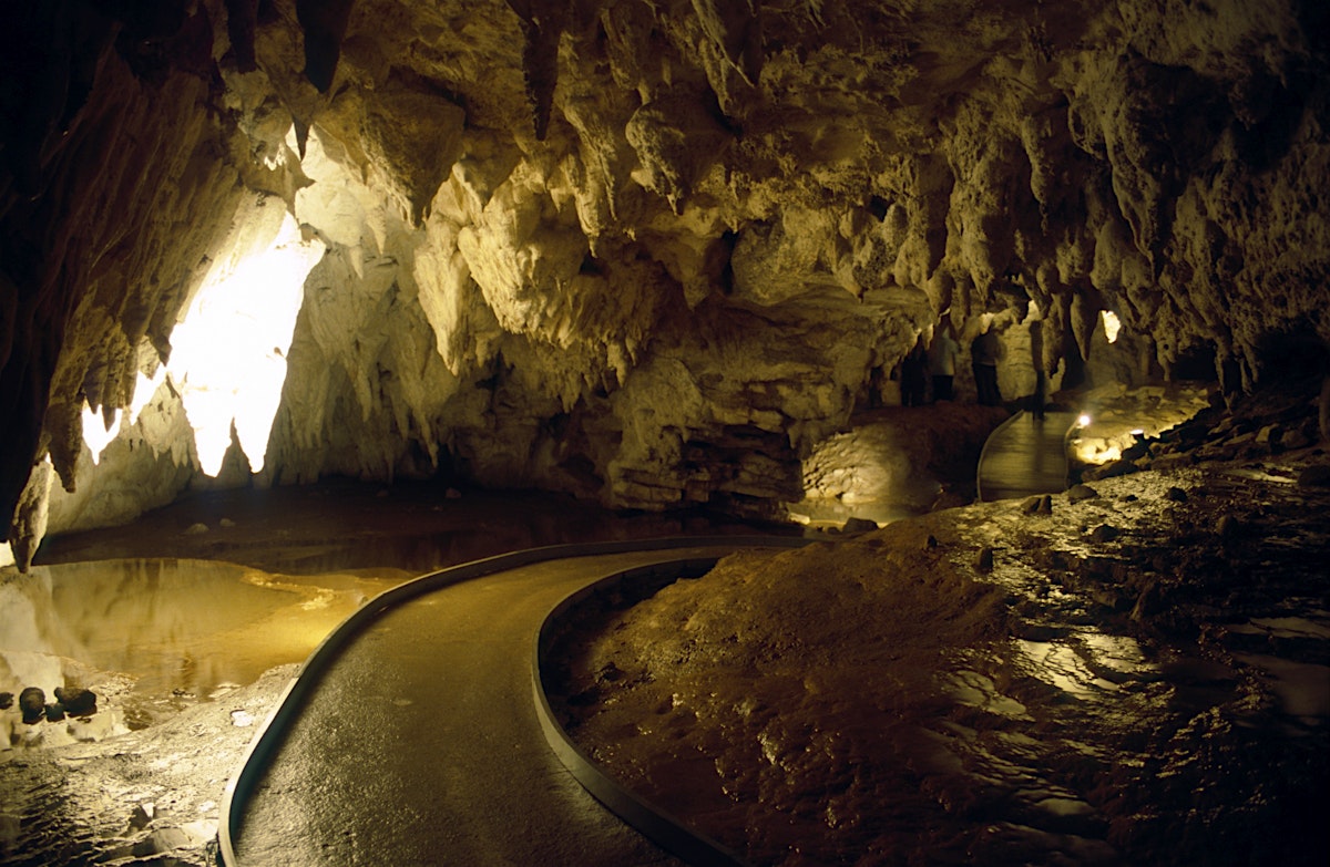 Waitomo caves !! 4fb648e038499deac633f25212aa53c7-waitomo-caves