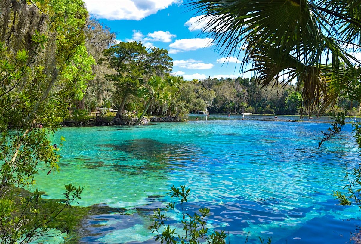 Ocala National Forest travel Florida, USA Lonely