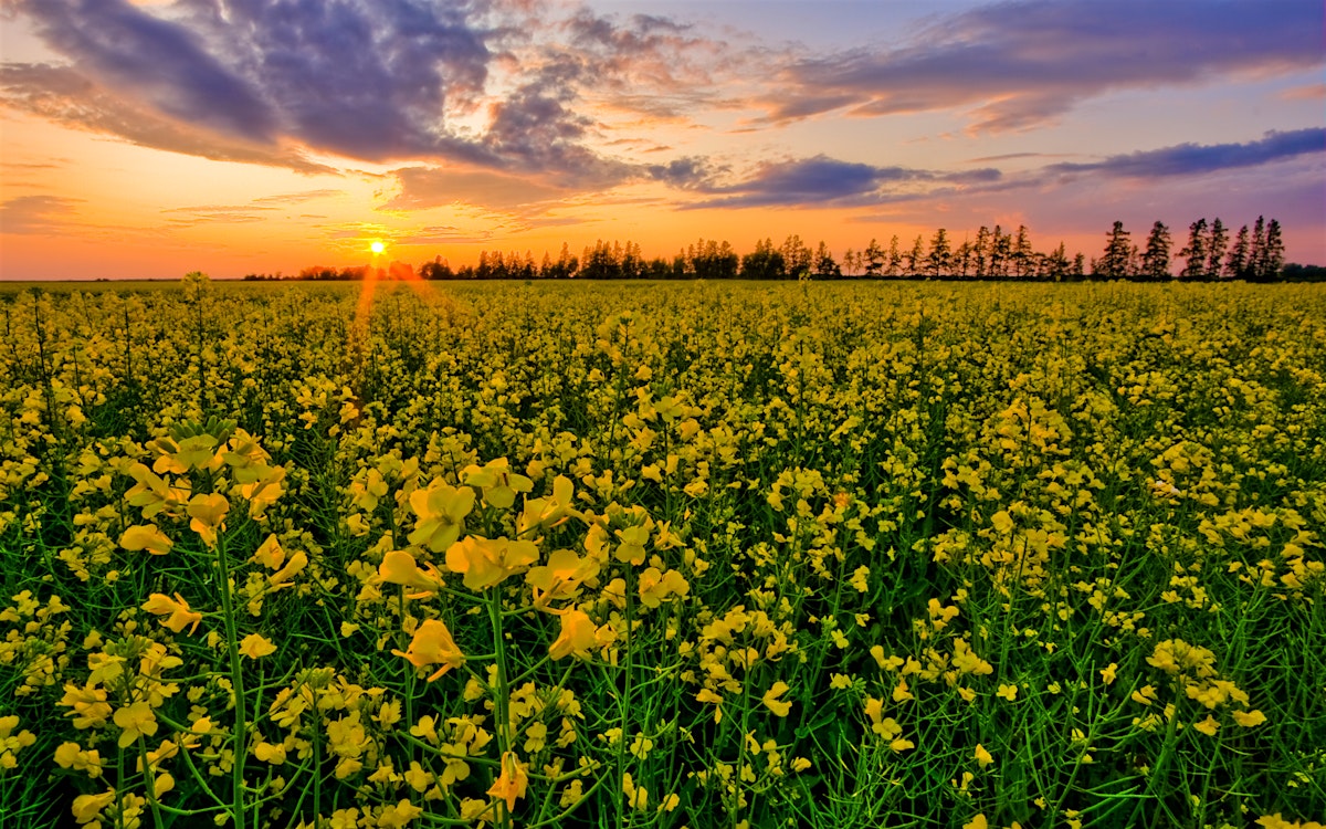 manitoba travel canada lonely