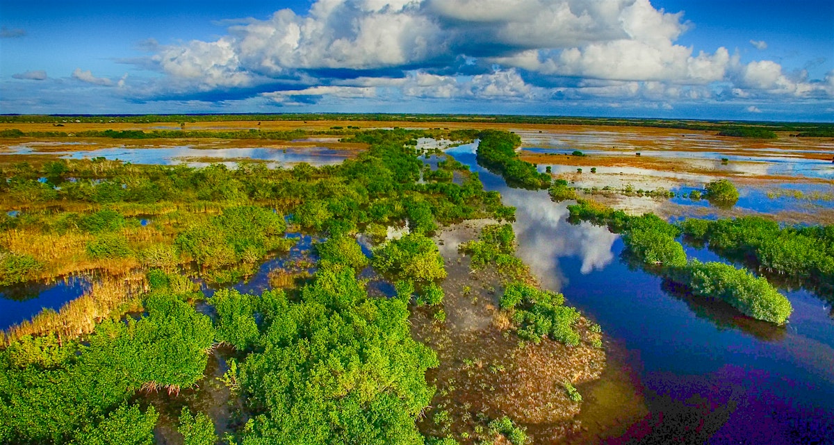 The Everglades travel - Lonely Planet
