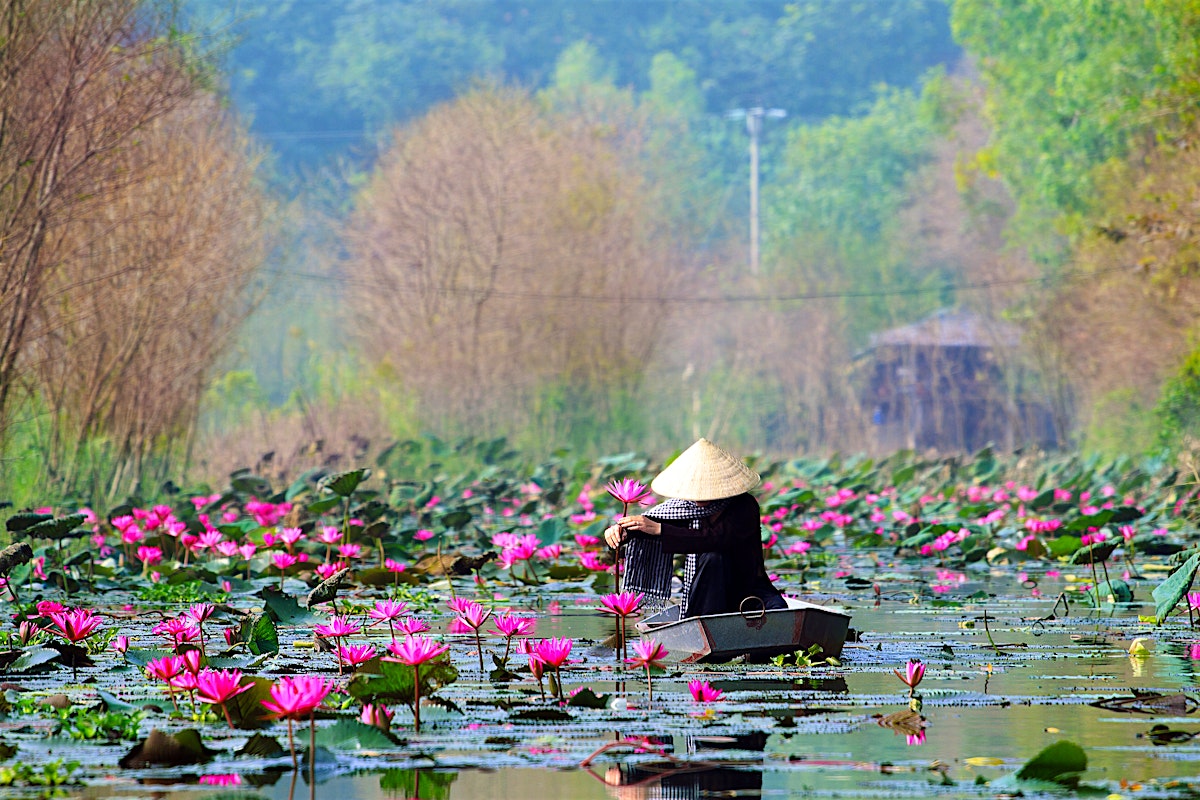 Vietnam travel - Lonely Planet