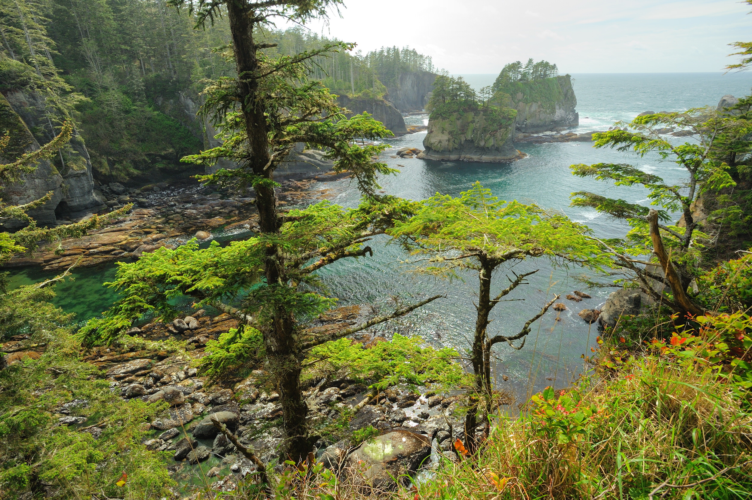 Cape Resort Neah Bay Wa - unylpc7