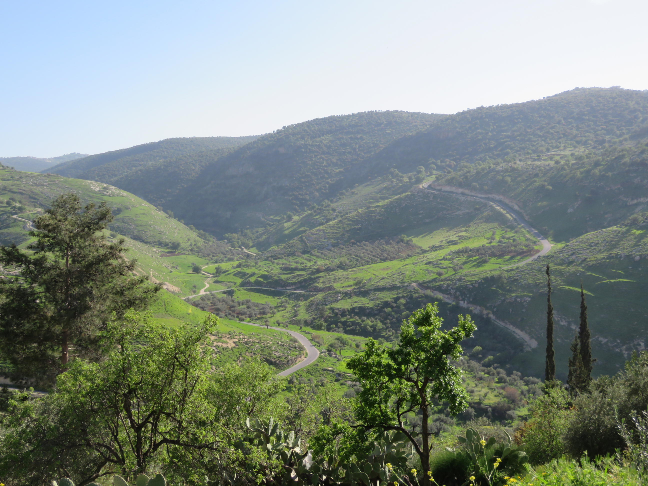 Northwestern Car Insurance >> Ajloun Forest Reserve | Northwestern Jordan, Jordan Northwestern Jordan - Lonely Planet Northwestern Car Insurance >> Ajloun Forest Reserve | Northwestern Jordan, Jordan Northwestern Jordan - Lonely Planet