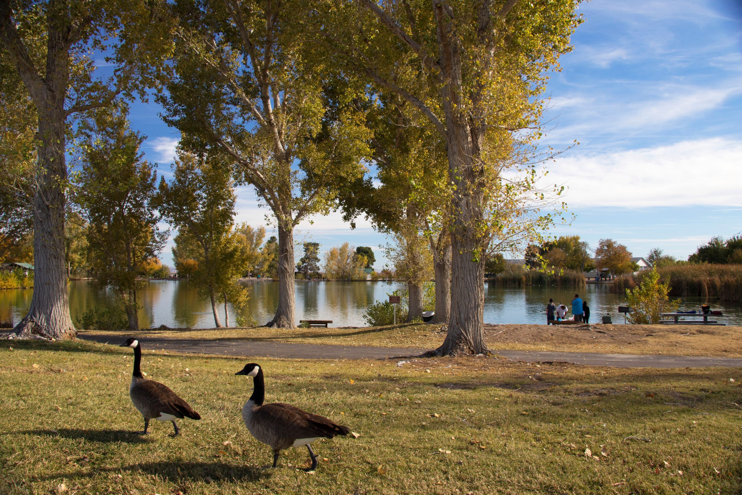 Floyd Lamb Park at Tule Springs Las Vegas, USA Attractions Lonely
