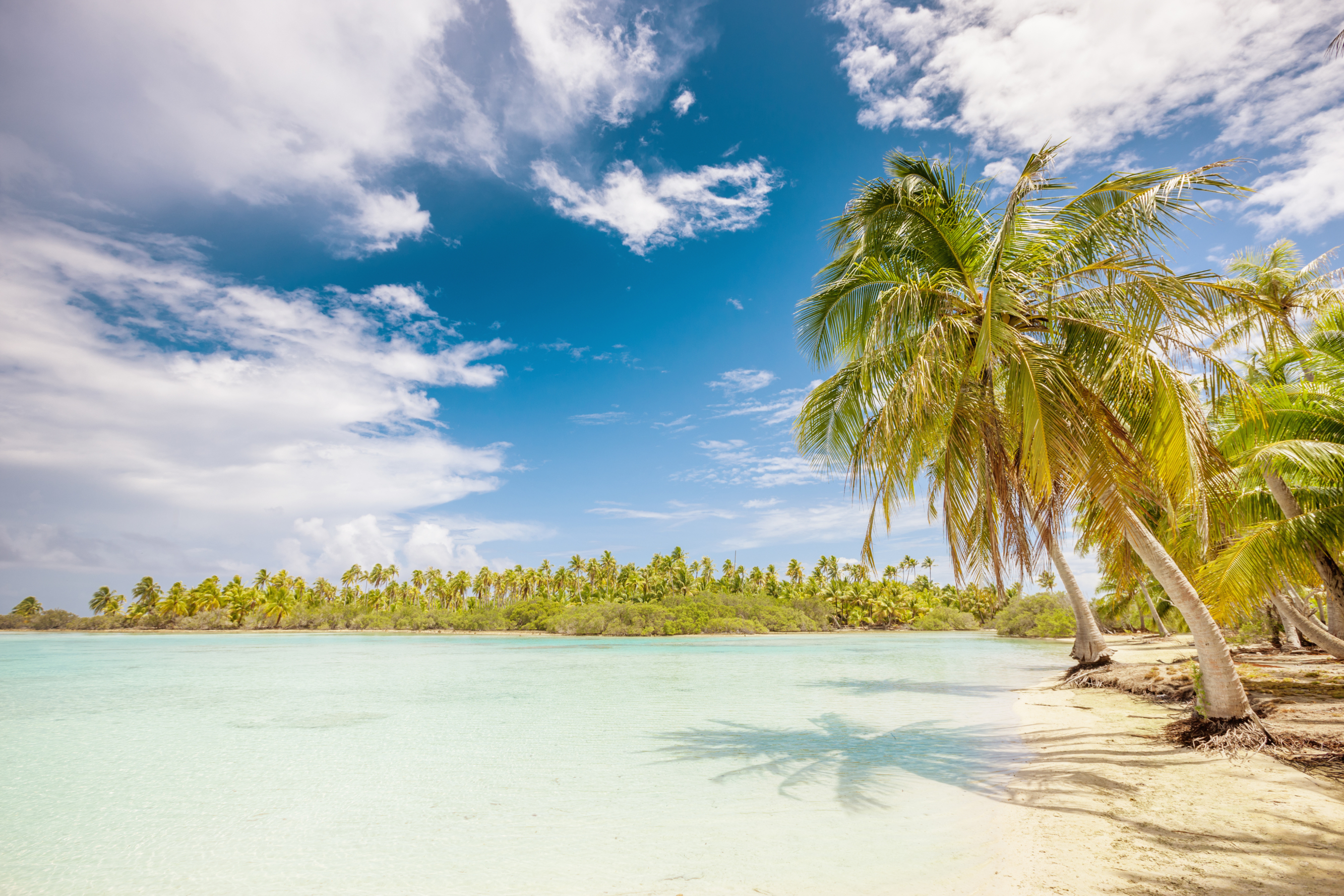 Lagon Bleu (Motu Tehatea) | Fakarava, French Polynesia Fakarava ...