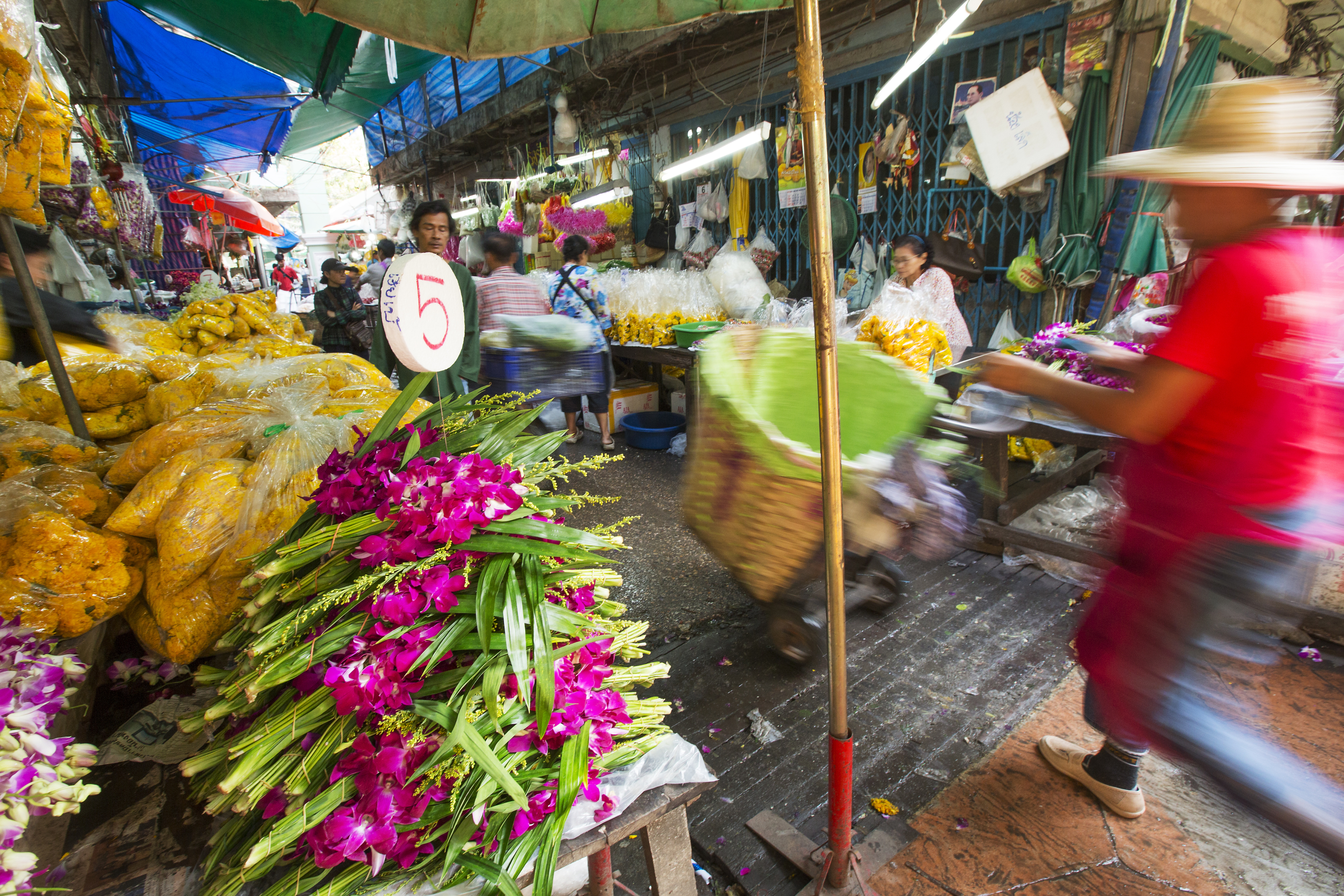 Pak Khlong Talat Bangkok, Thailand Attractions Lonely