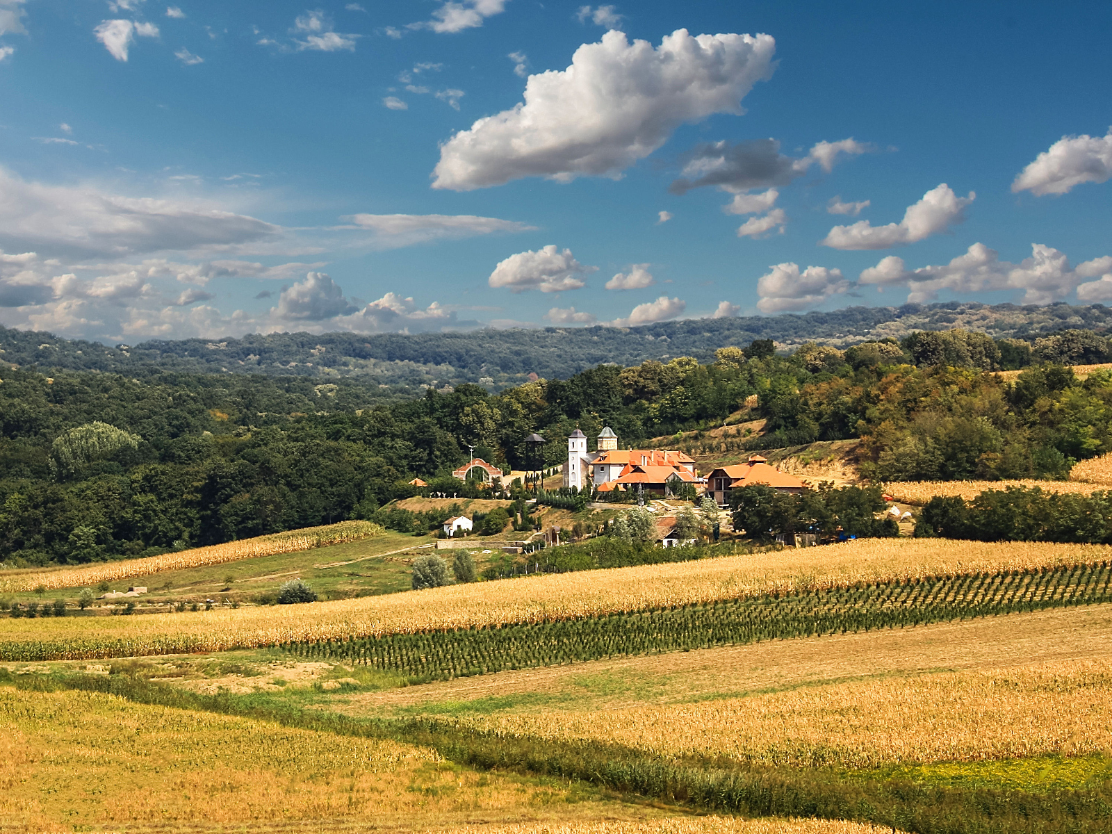 Fruška Gora National Park Travel | Serbia - Lonely Planet