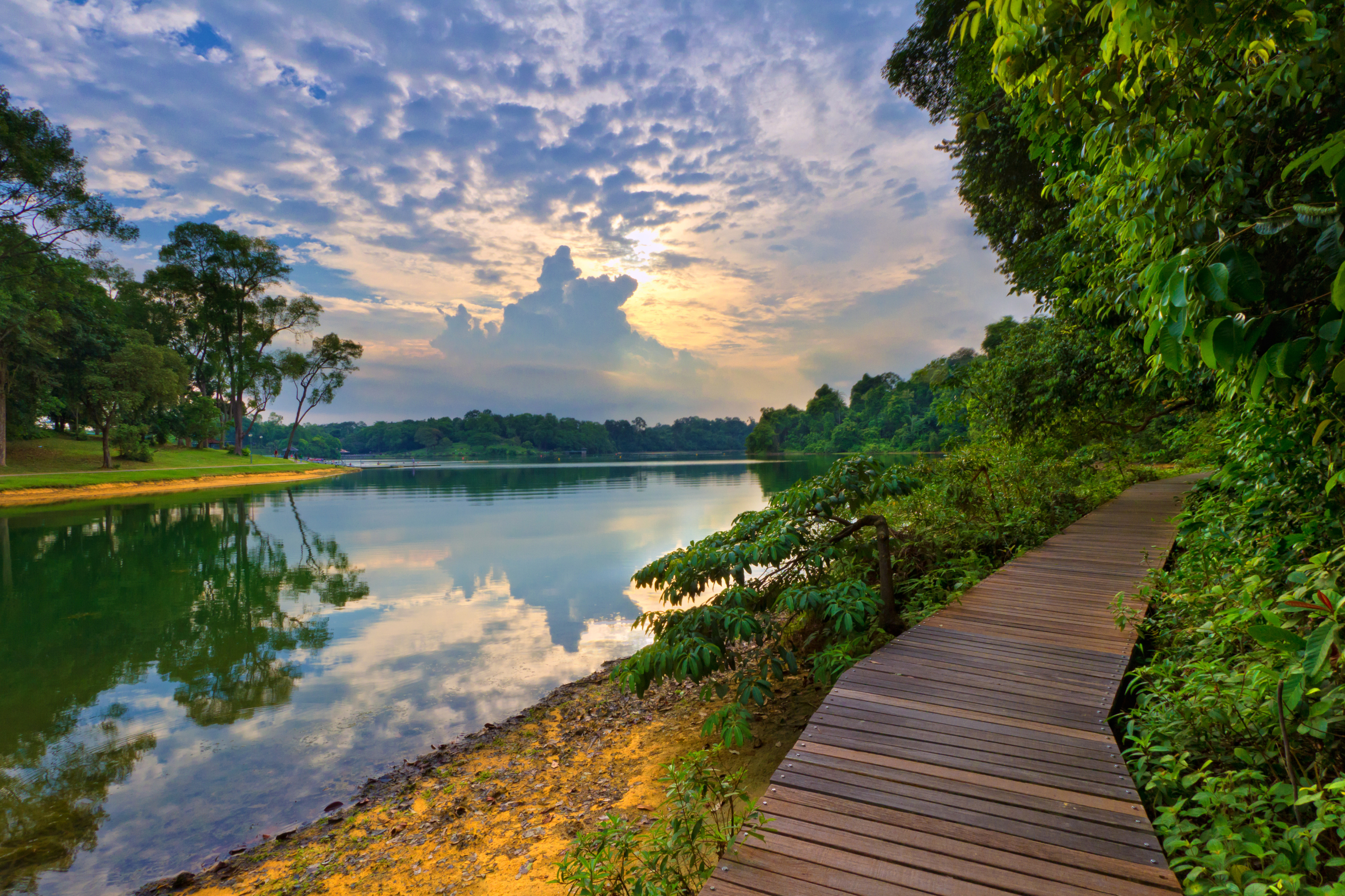 MacRitchie Reservoir In Singapore - Lonely Planet