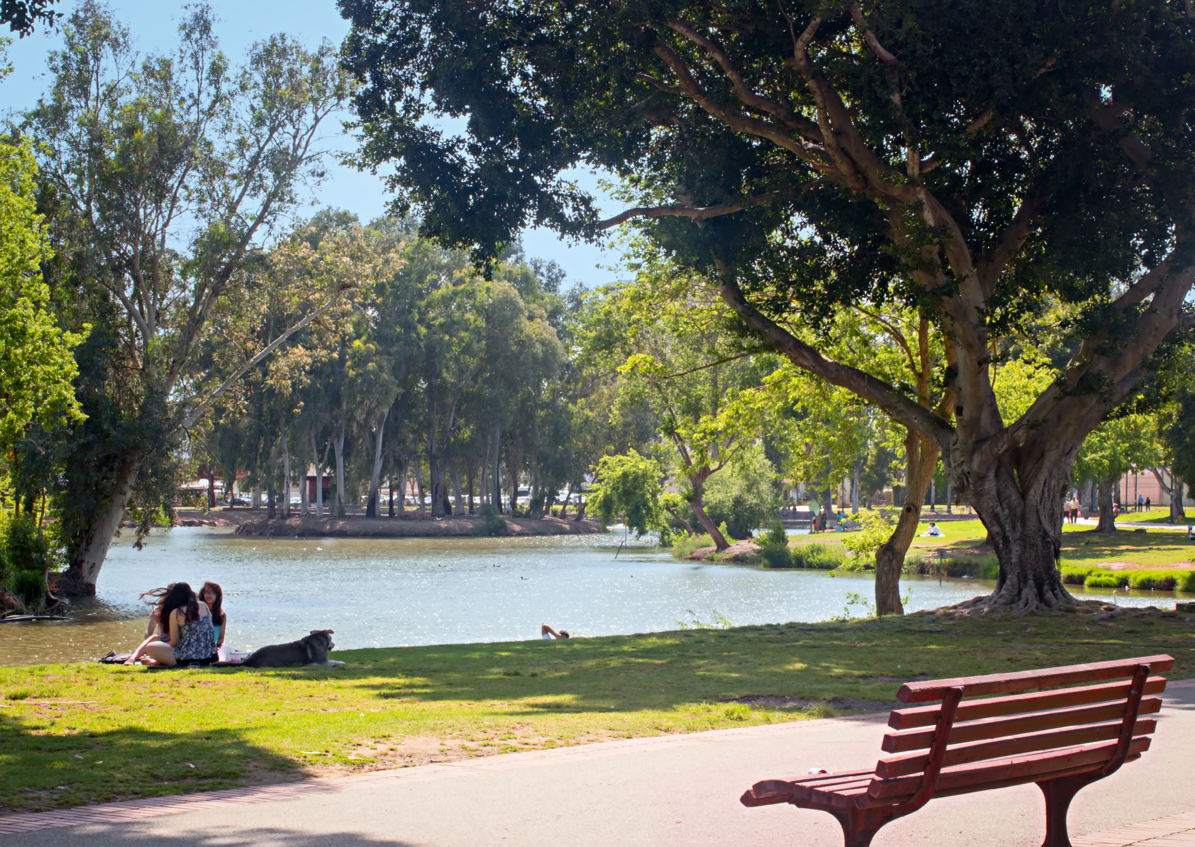 Park HaYarkon | Tel Aviv, Israel Attractions - Lonely Planet