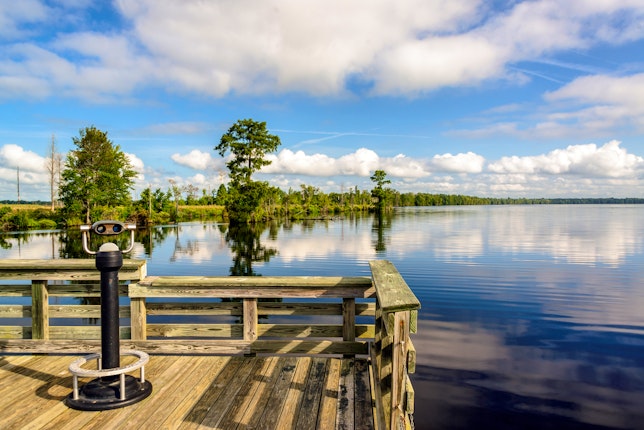 Great Dismal Swamp National Wildlife Refuge in Virginia Beach, USA ...