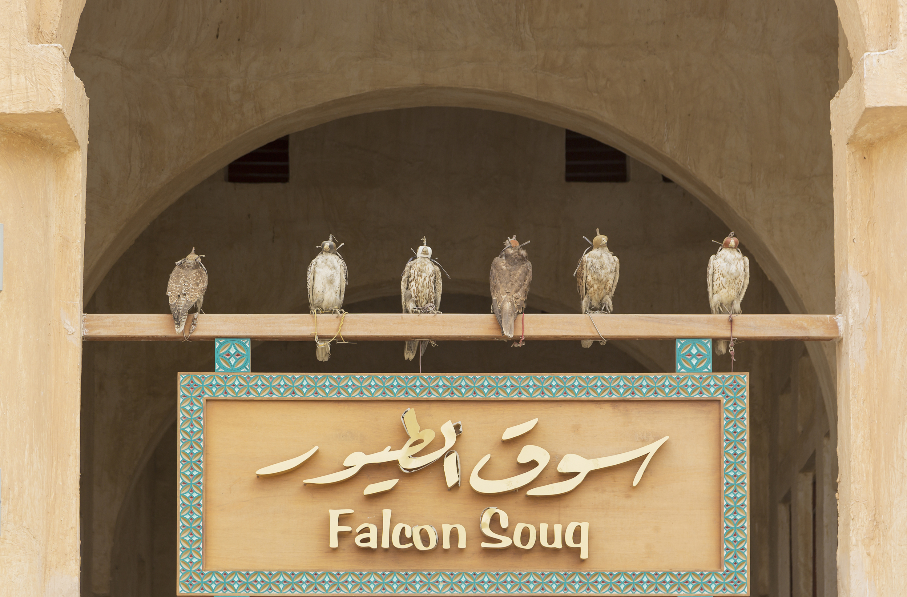 Falcon Souq Doha, Qatar Attractions Lonely