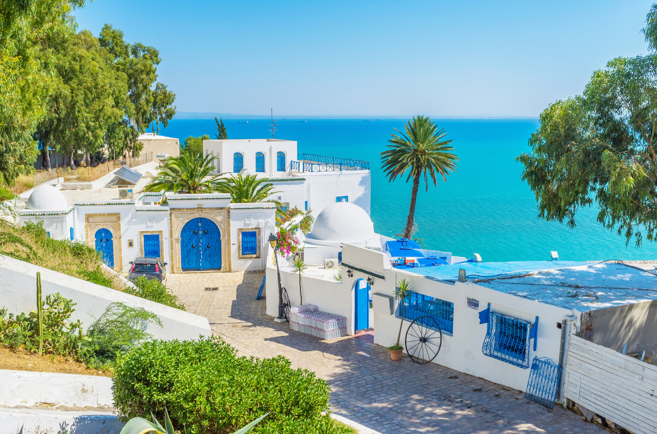 Sidi Bou Saïd Travel | Tunis, Tunisia - Lonely Planet