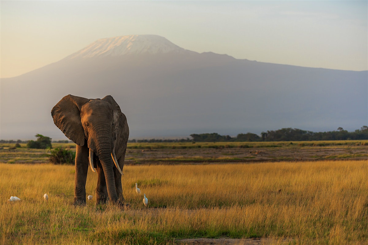 Mt Kilimanjaro National Park Travel Mt Kilimanjaro National Park Travel