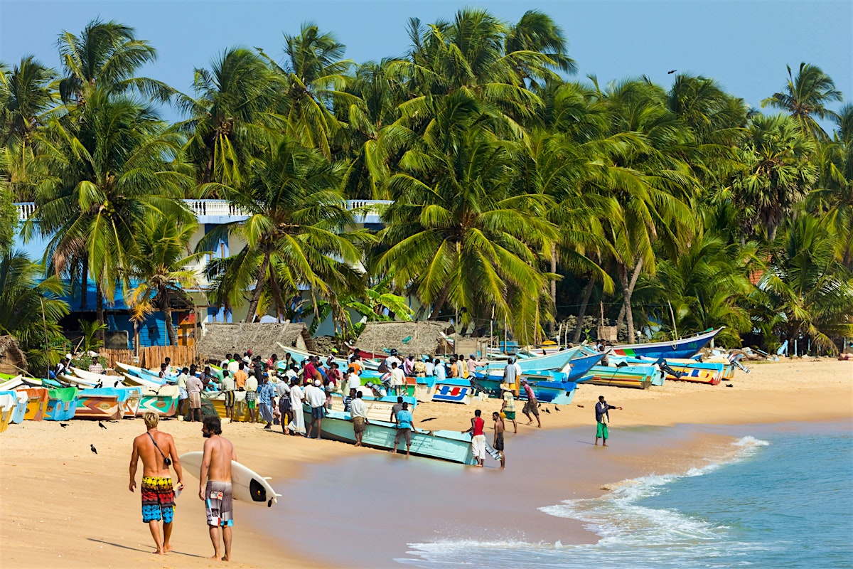 Arugam Bay travel  The East, Sri Lanka - Lonely Planet