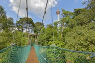 KL Forest Eco Park Kuala Lumpur Malaysia Attractions Lonely Planet