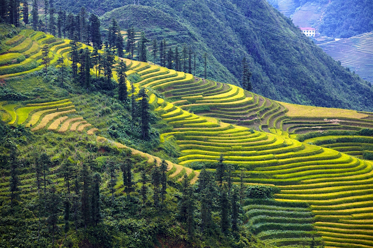 Northwest Vietnam travel | Vietnam - Lonely Planet