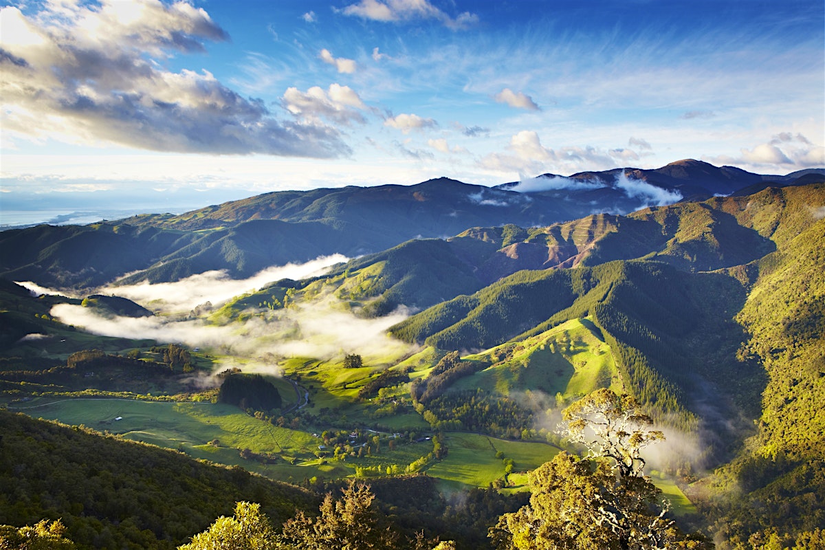 Takaka travel Marlborough & Nelson, New Zealand Lonely