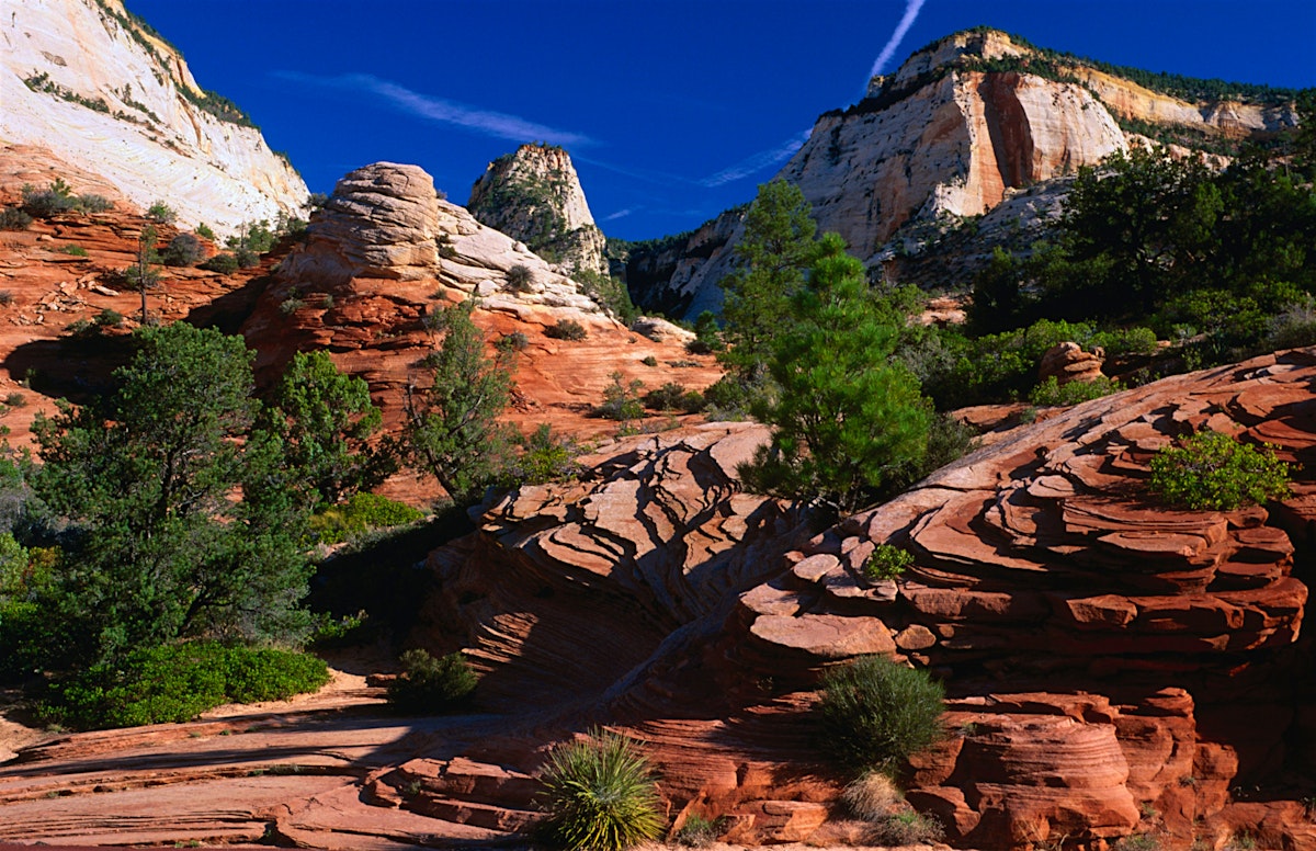 Zion National Park travel | The Southwest, USA - Lonely Planet