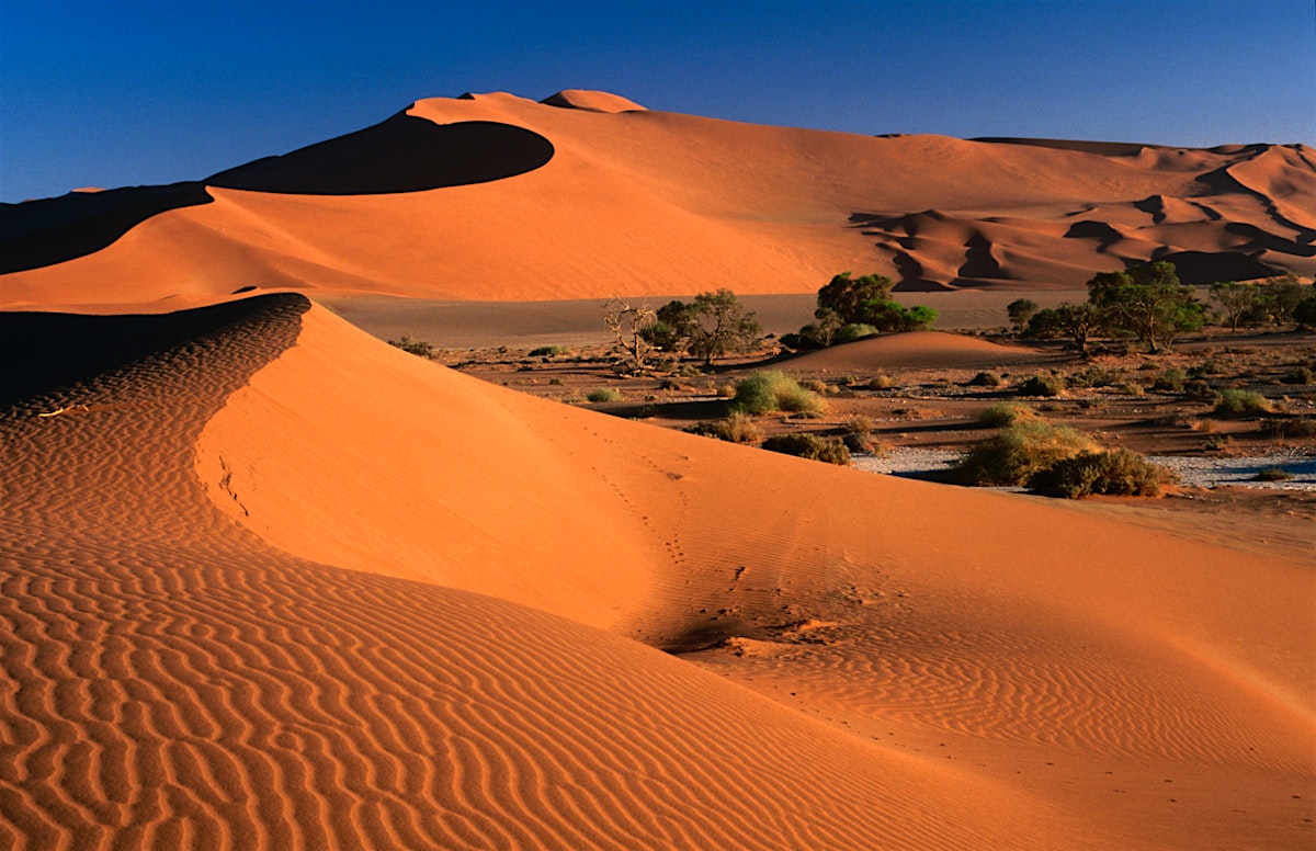 Namib-Naukluft Park travel Namibia - Lonely Planet