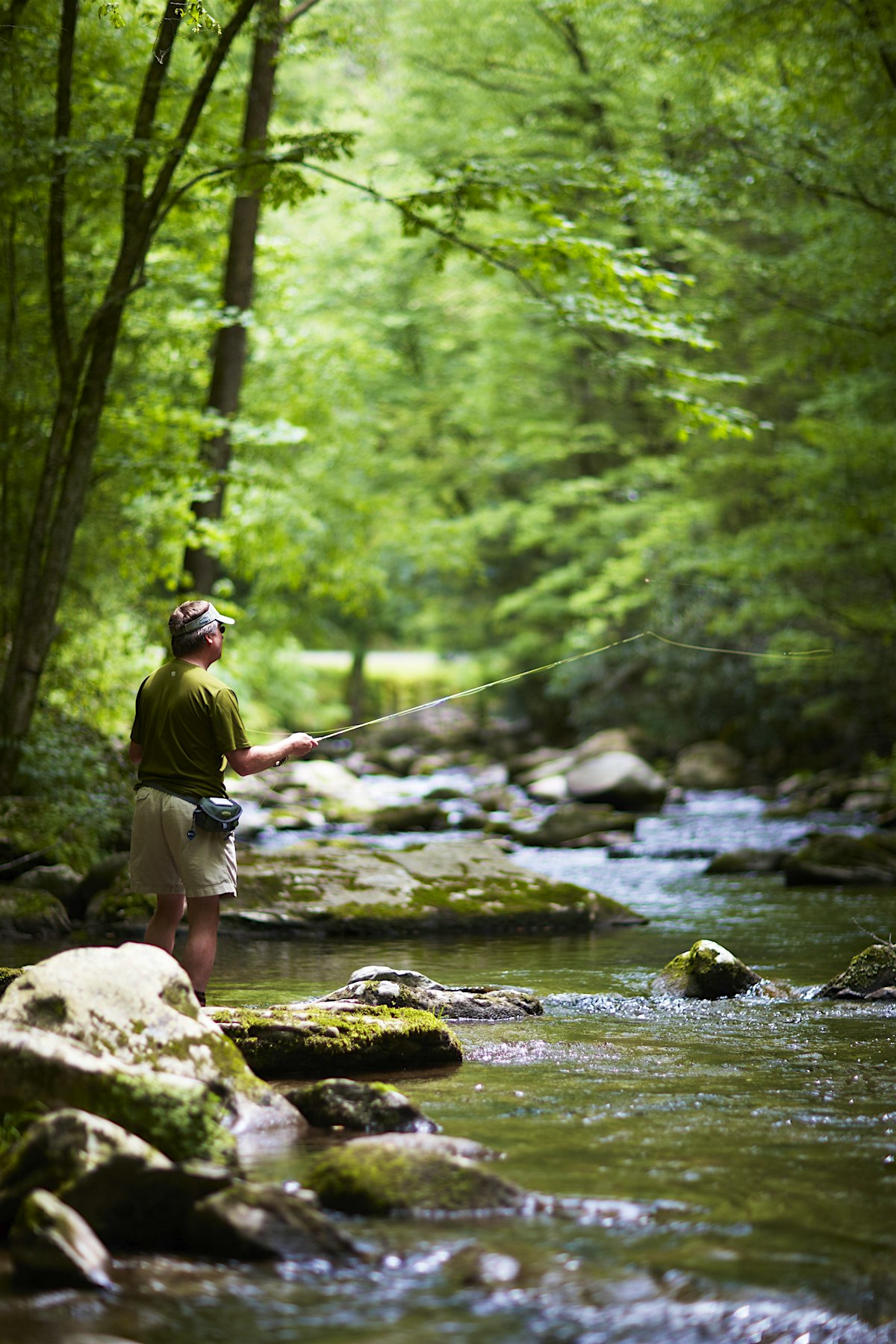 East Tennessee travel Southern USA, USA Lonely