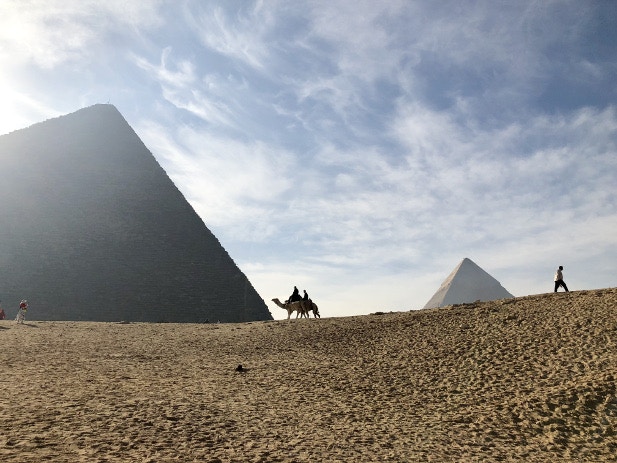 Two camels silhouetted between the pyramids of Giza